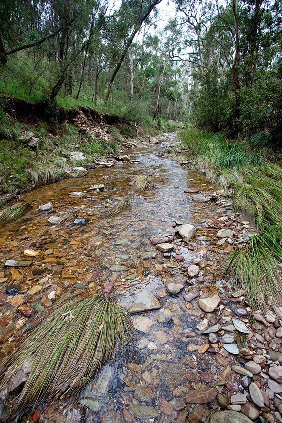 pyrites_creek1